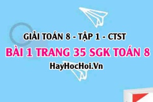 Giải bài 1 trang 35 Toán 8 Tập 1 SGK Chân trời sáng tạo